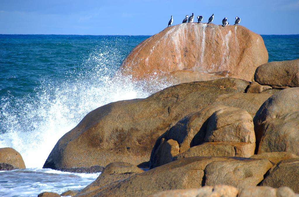 Cloudy Bay Beach House South Bruny Экстерьер фото