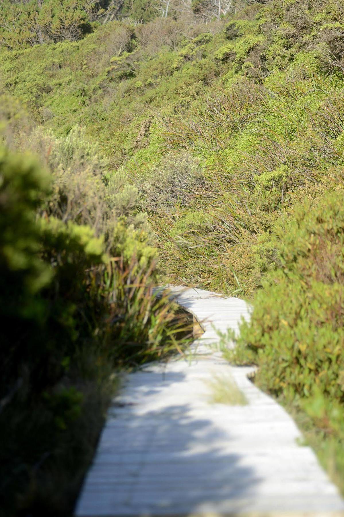 Cloudy Bay Beach House South Bruny Экстерьер фото